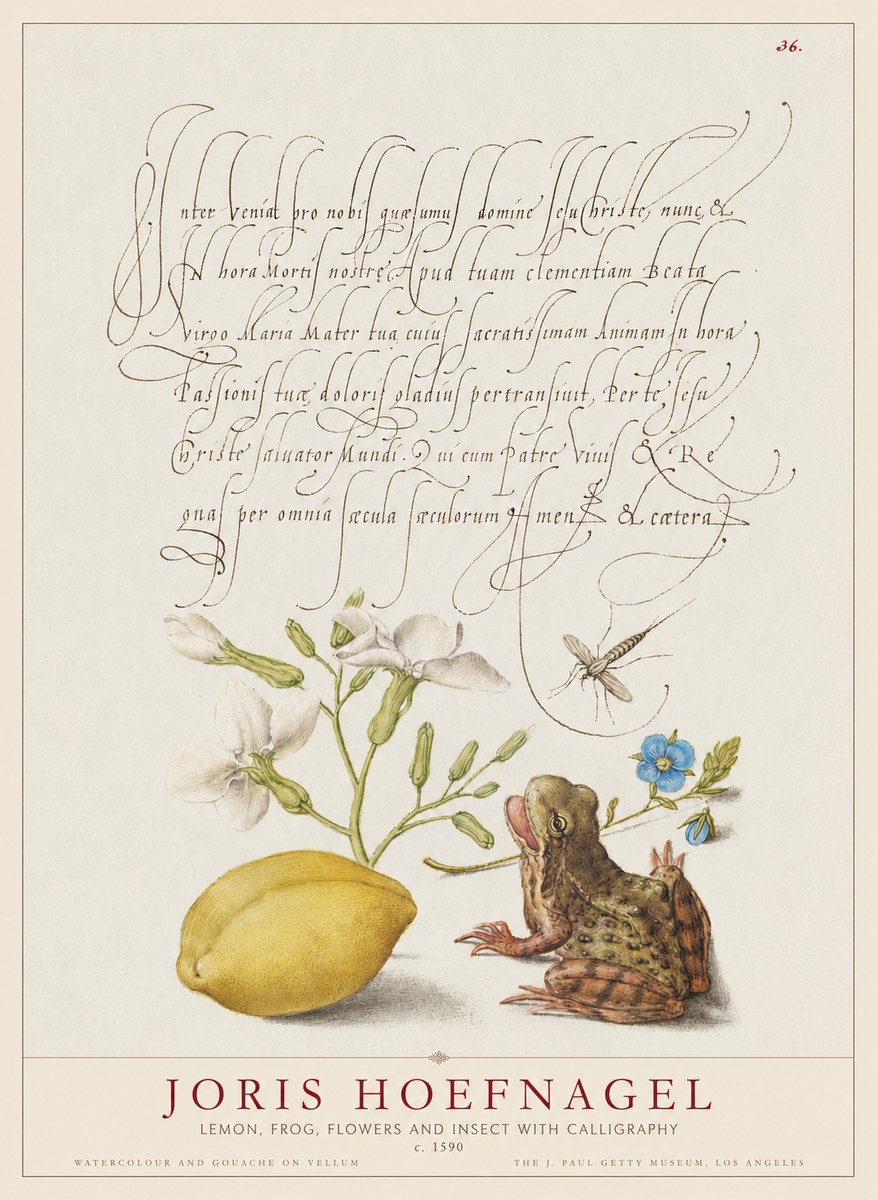 Joris Hoefnagel Nature Study with Lemon, Flowers, Frog & Insect No2 - Plakát