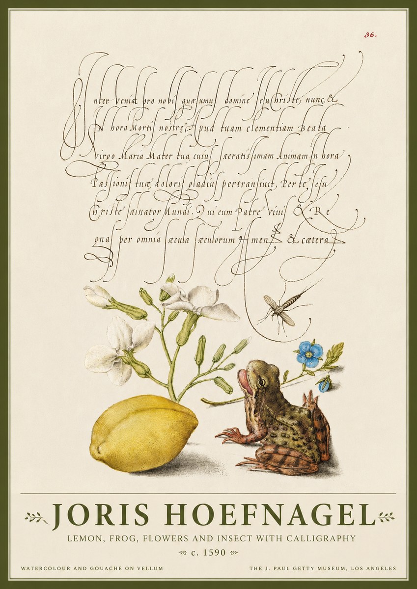 Joris Hoefnagel Nature Study with Lemon, Flowers, Frog & Insect No4 - Plakát
