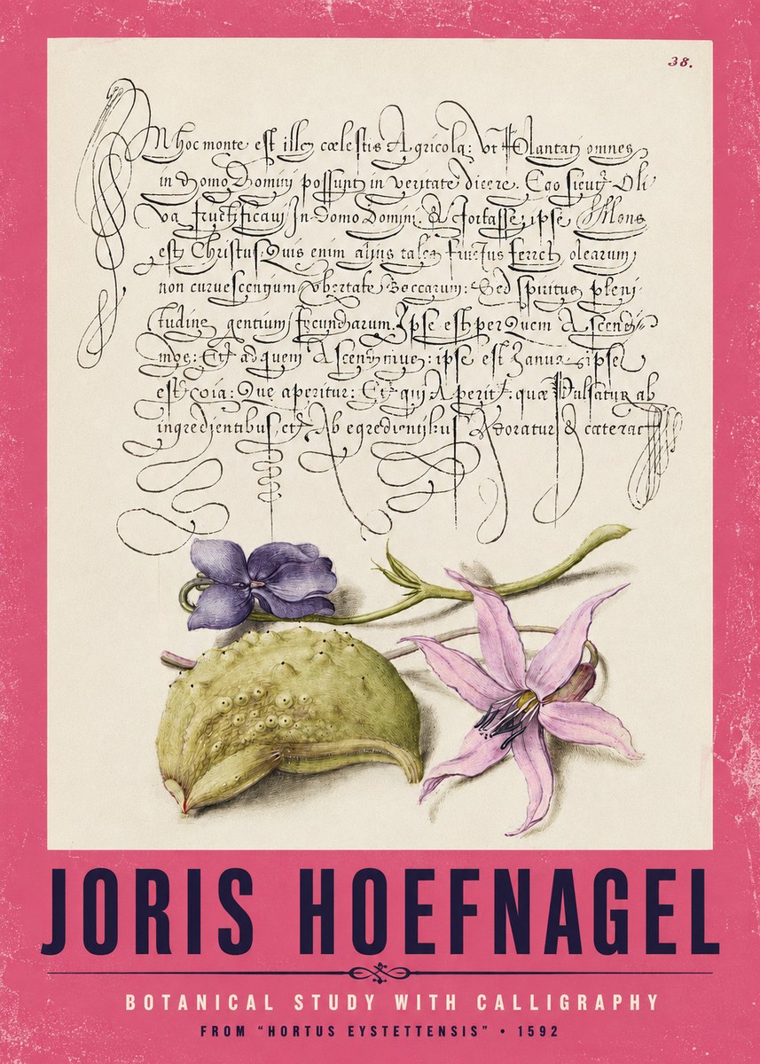 Joris Hoefnagel Botanical Study with Calligraphy I No2 - Plakát