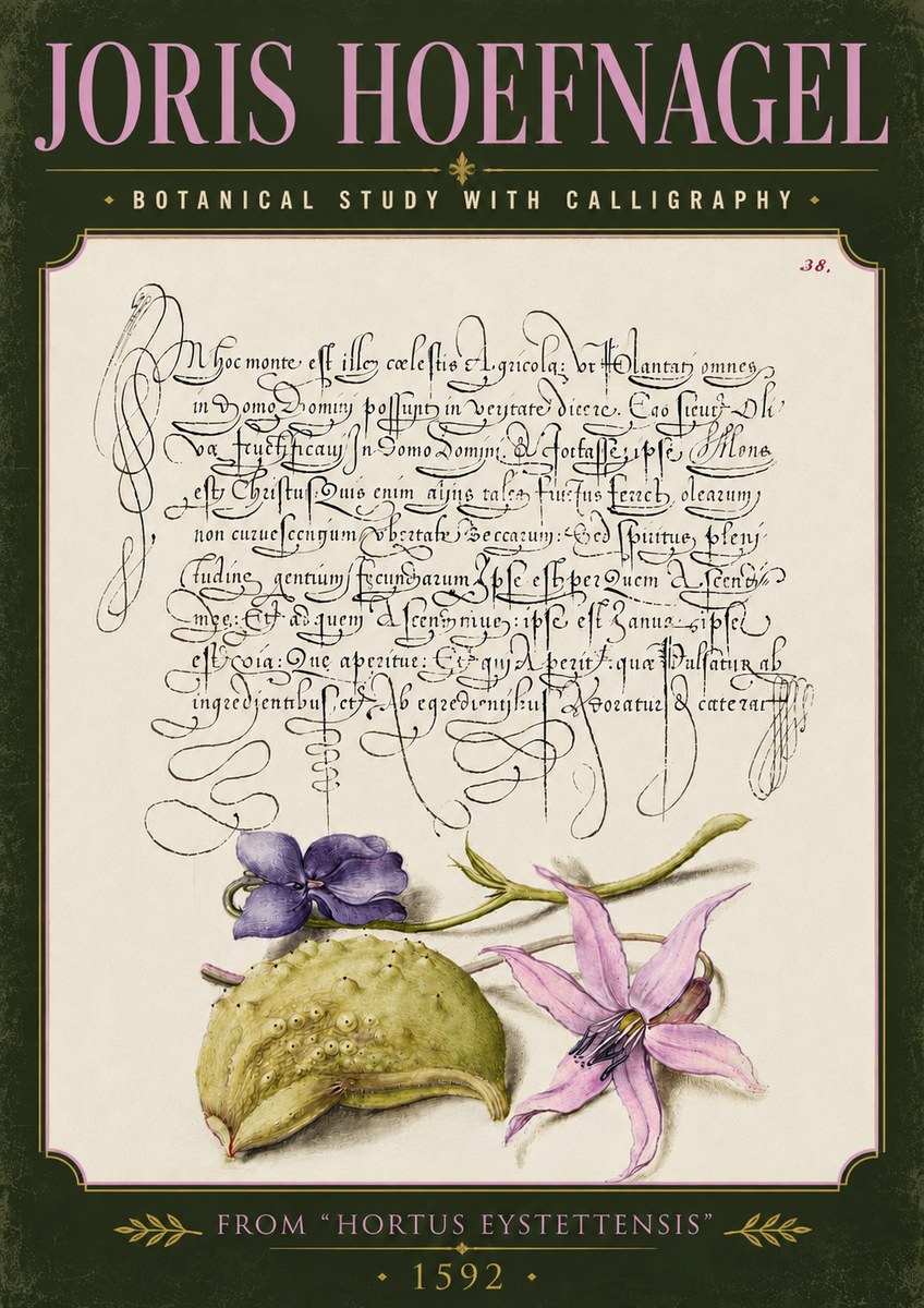 Joris Hoefnagel Botanical Study with Calligraphy I No5 - Plakát