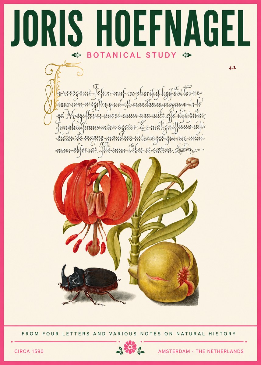 Joris Hoefnagel Botanical Study II No6 - Plakát
