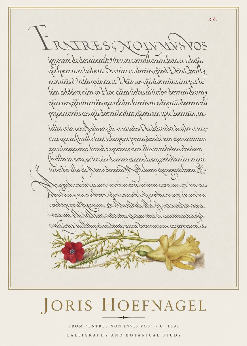 Joris Hoefnagel Calligraphy and Botanical Study I No2 - Plakát