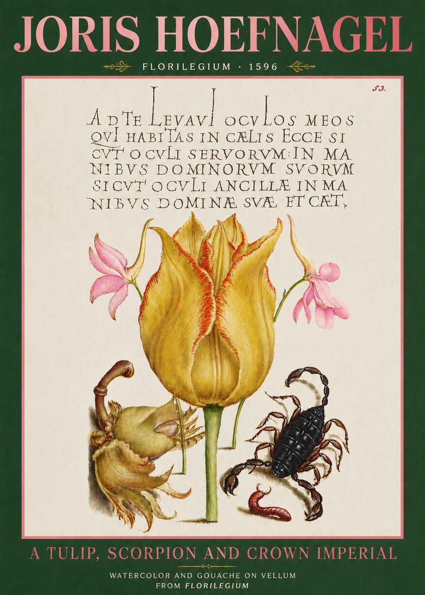 Joris Hoefnagel A Tulip, Scorpion and Crown Imperial No3 - Plakát