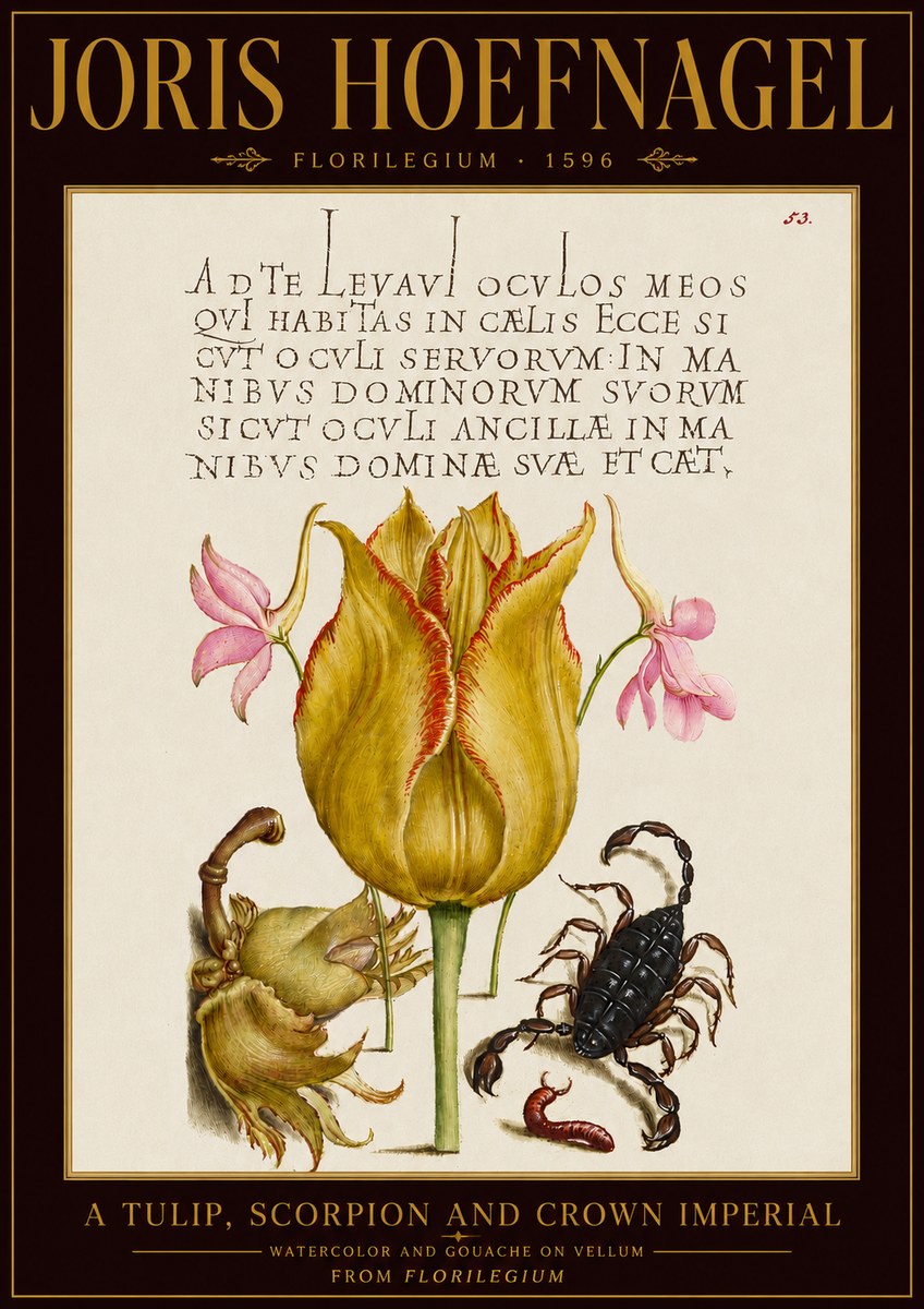 Joris Hoefnagel A Tulip, Scorpion and Crown Imperial No5 - Plakát