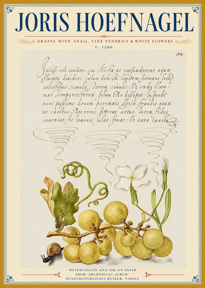 Joris Hoefnagel Grapes with Snail, Vine Tendrils & White Flowers No3 - Plakát