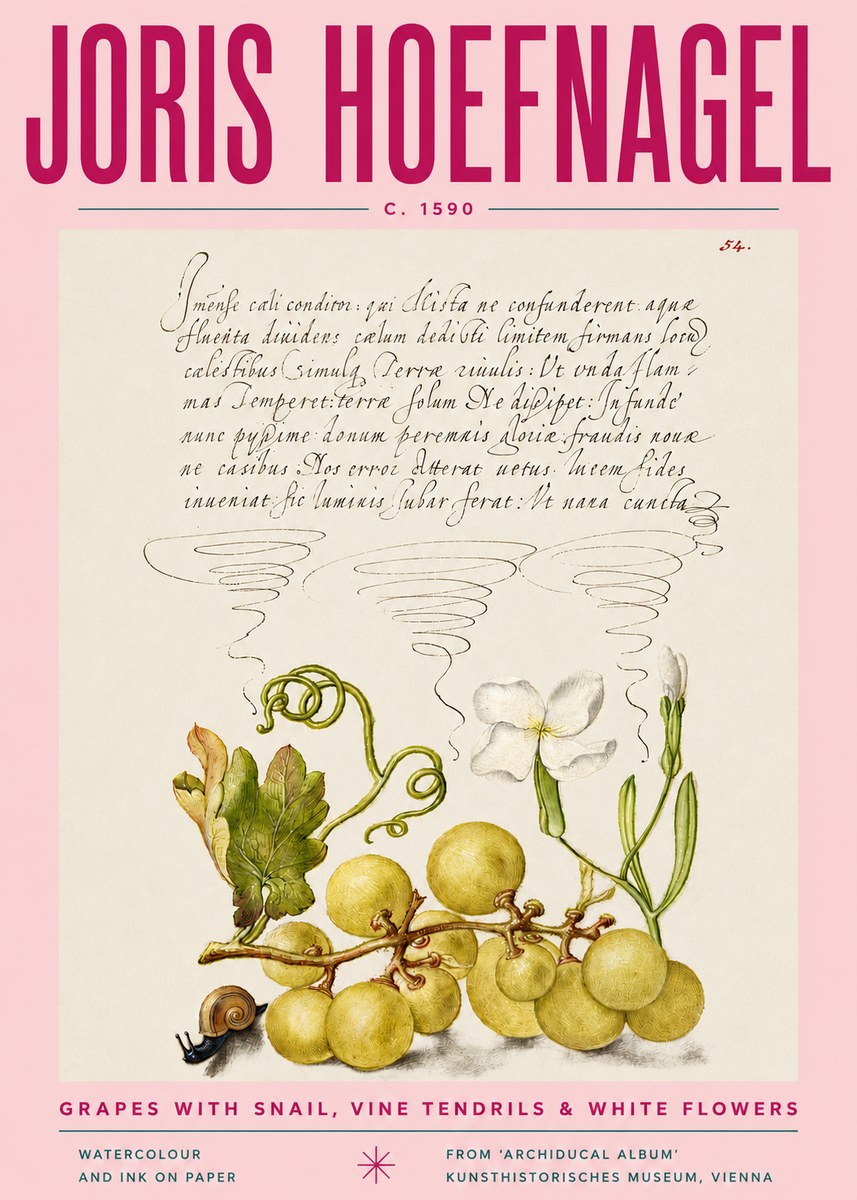 Joris Hoefnagel Grapes with Snail, Vine Tendrils & White Flowers No4 - Plakát