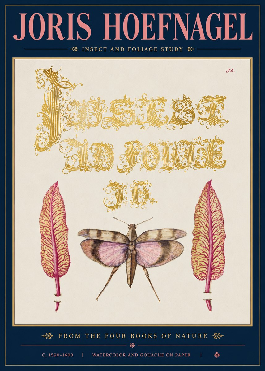 Joris Hoefnagel Insect and Foliage Study No5 - Plakát