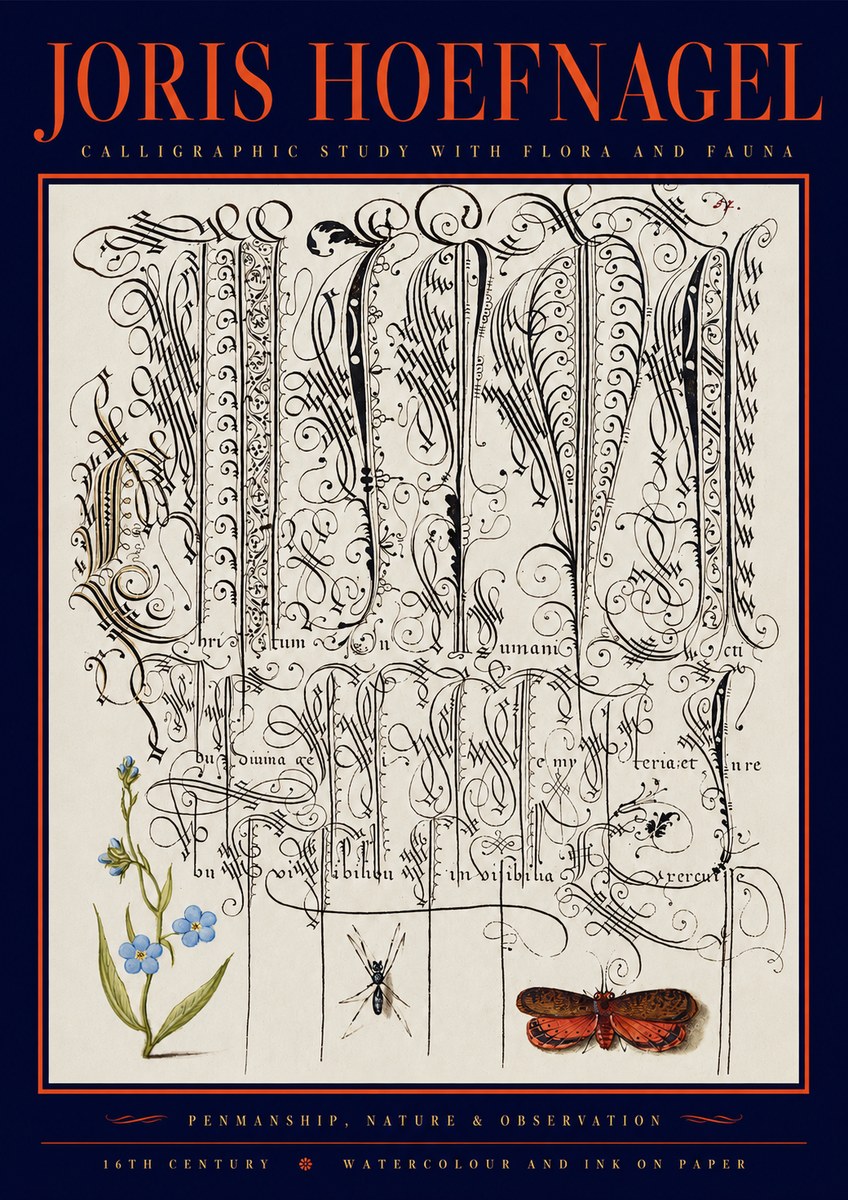 Joris Hoefnagel Calligraphic Study with Flora and Fauna No2 - Plakát