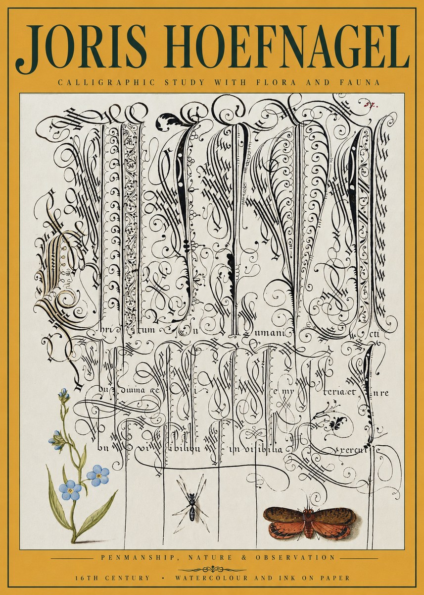 Joris Hoefnagel Calligraphic Study with Flora and Fauna No3 - Plakát