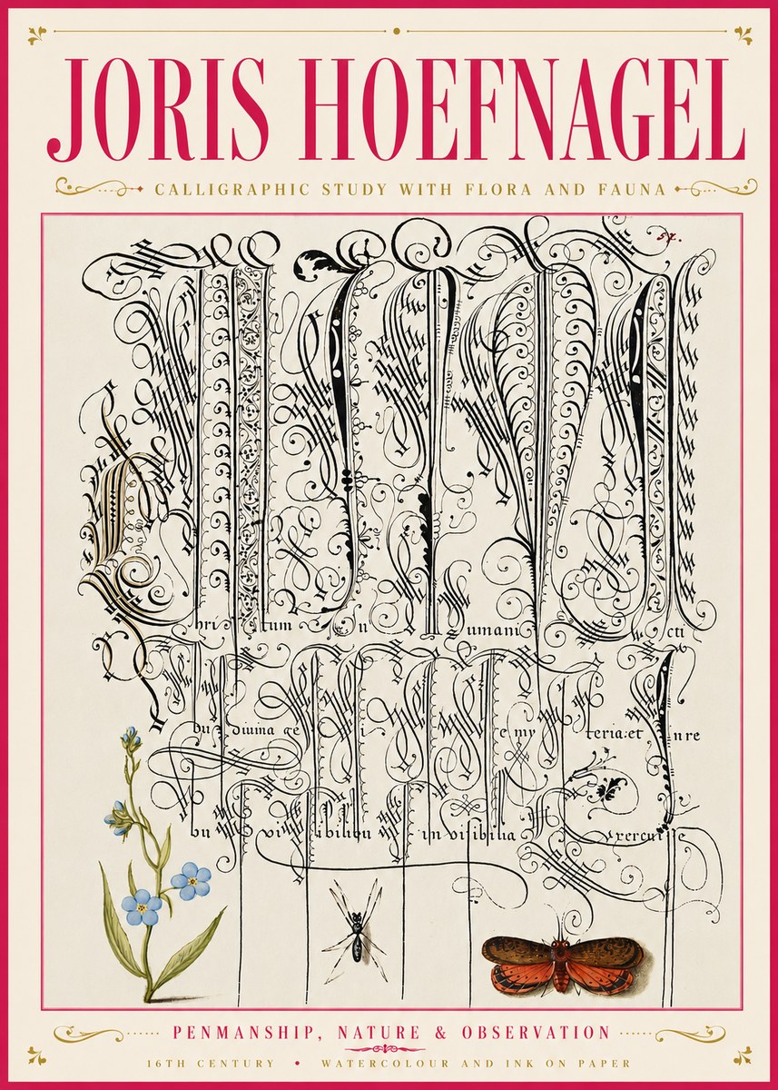 Joris Hoefnagel Calligraphic Study with Flora and Fauna No6 - Plakát