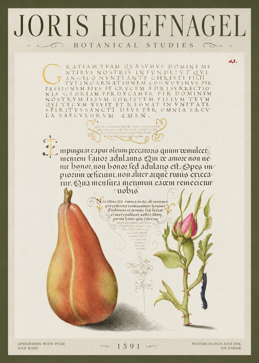 Joris Hoefnagel Aphorisms with Pear and Rose No1 - Plakát