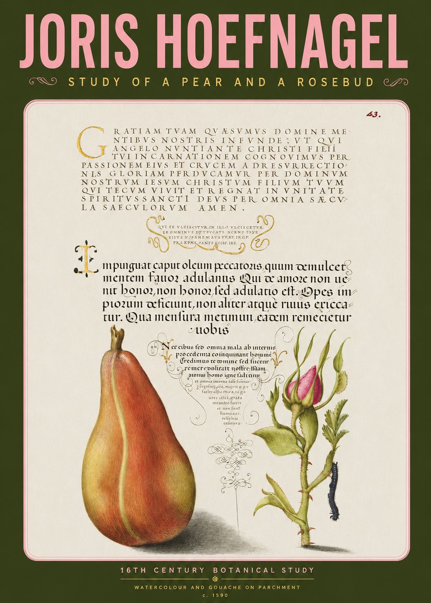 Joris Hoefnagel Aphorisms with Pear and Rose No4 - Plakát