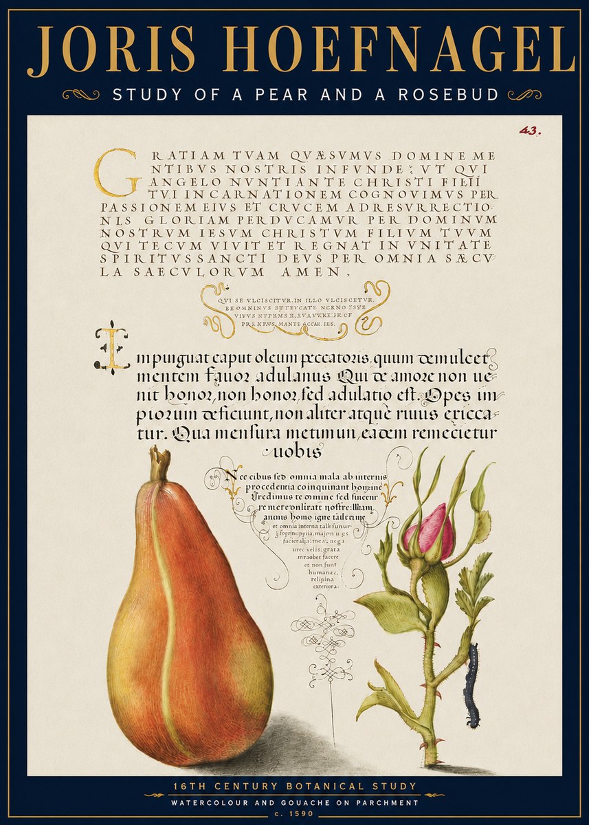 Joris Hoefnagel Aphorisms with Pear and Rose No6 - Plakát