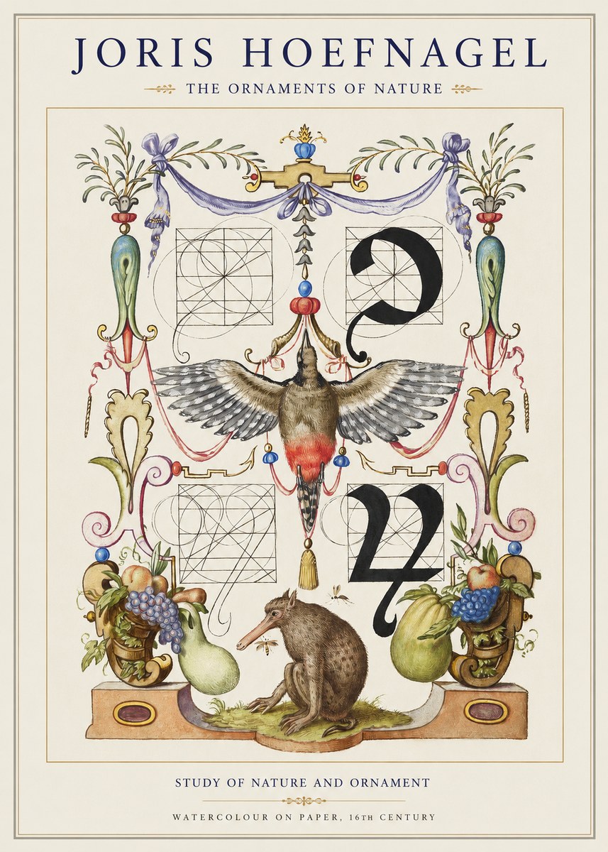 Joris Hoefnagel Study of Nature and Ornament No1 - Plakát