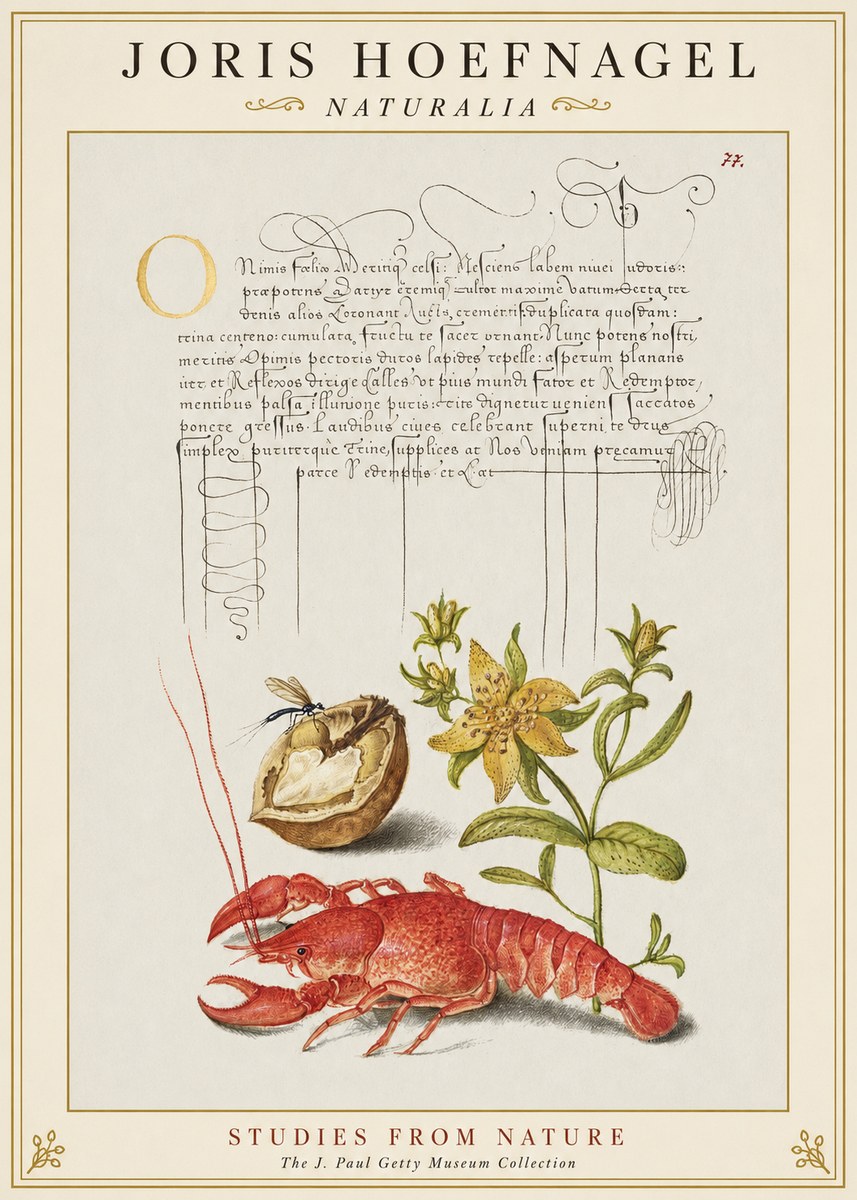 Joris Hoefnagel Studies from Nature No1 - Plakát