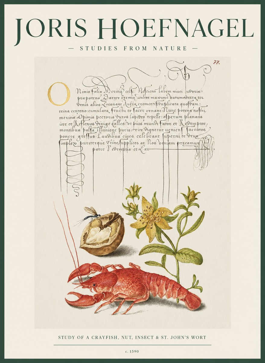 Joris Hoefnagel Studies from Nature No2 - Plakát