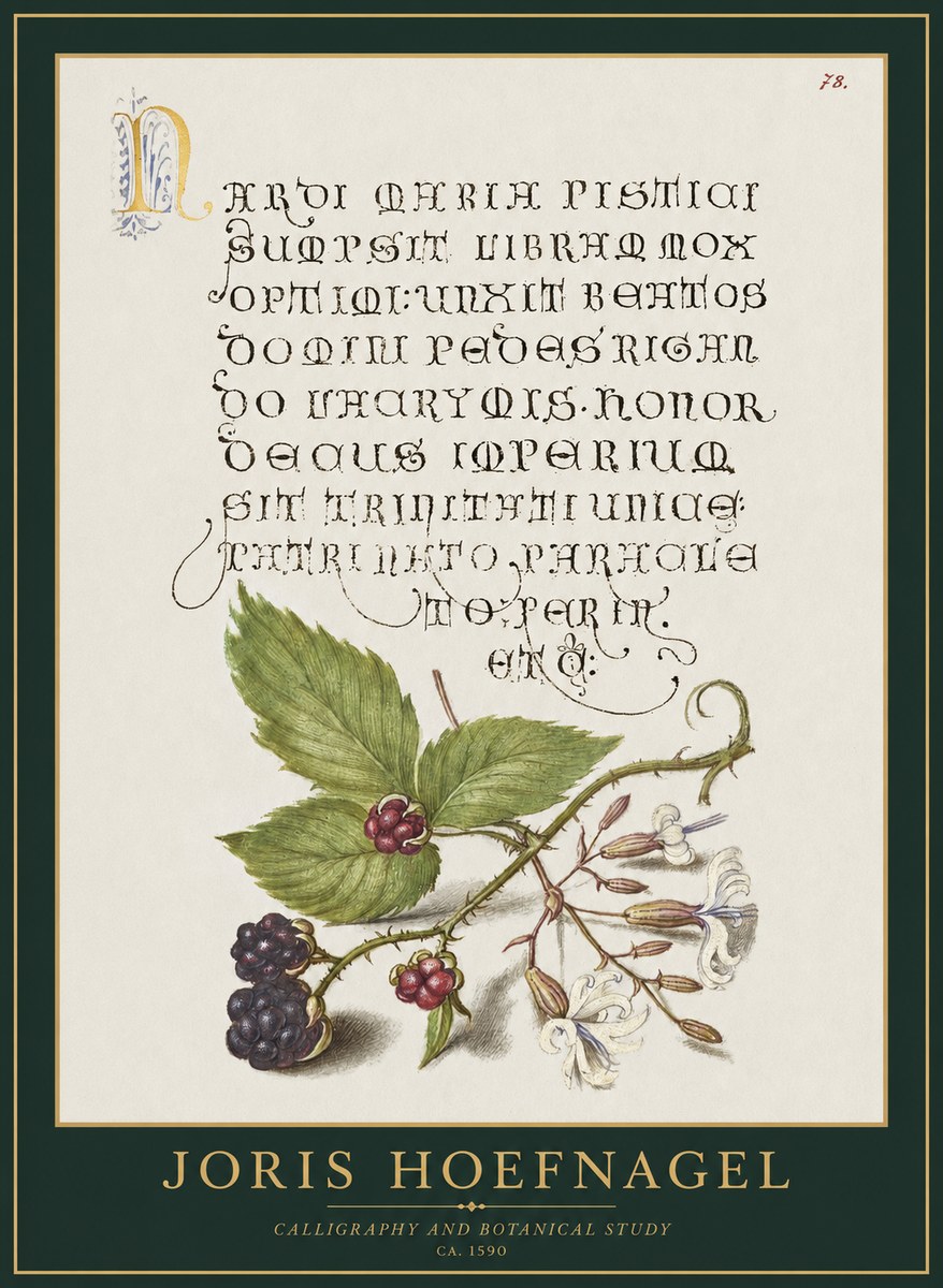 Joris Hoefnagel Calligraphy and Botanical Study II No1 - Plakát