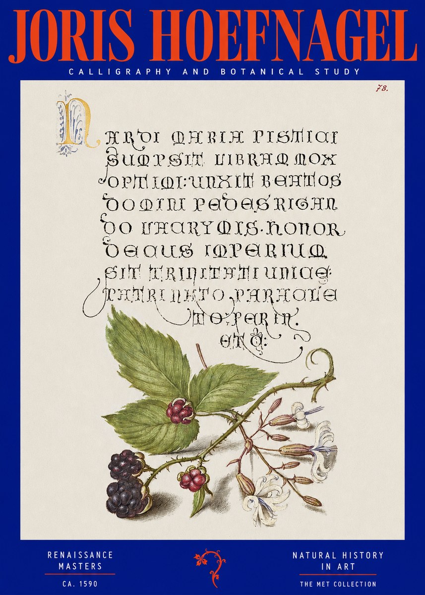 Joris Hoefnagel Calligraphy and Botanical Study II No2 - Plakát