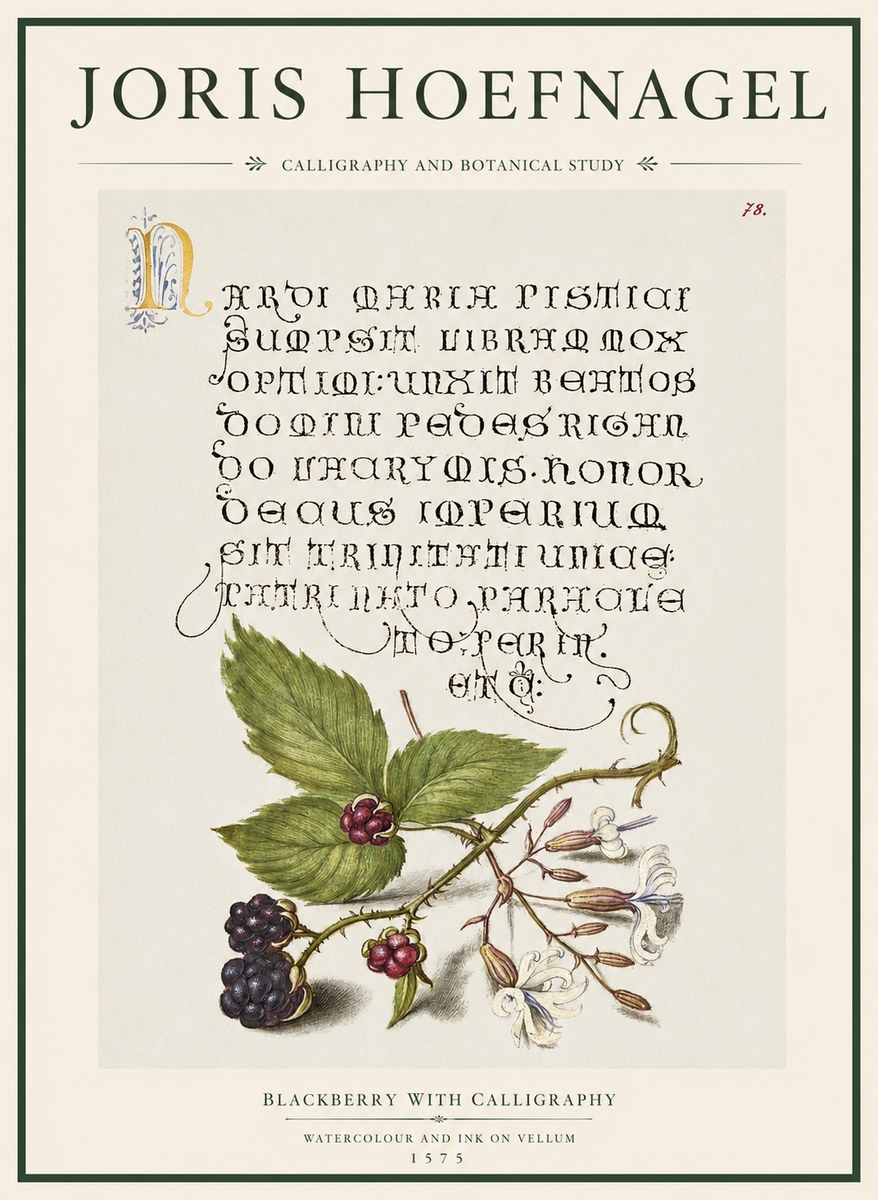 Joris Hoefnagel Calligraphy and Botanical Study II No5 - Plakát