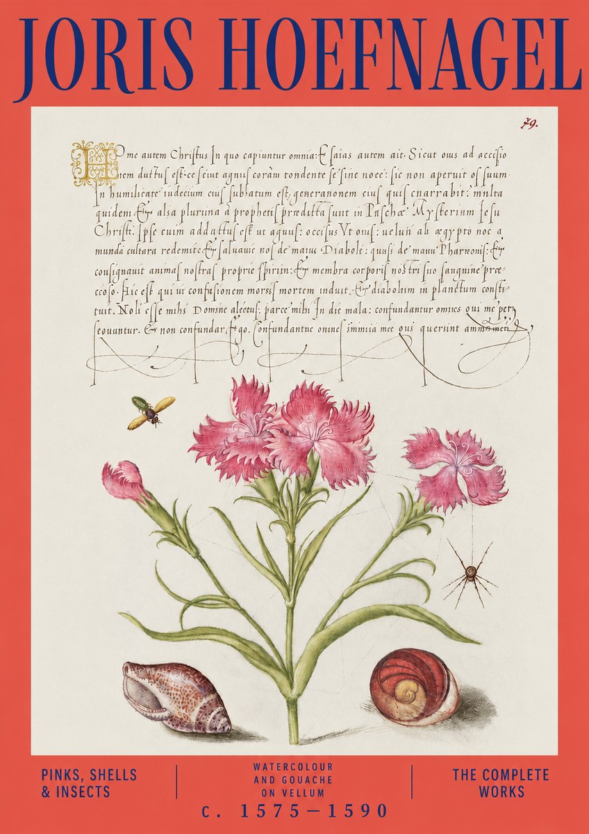 Joris Hoefnagel Pinks, Shells & Insects No3 - Plakát