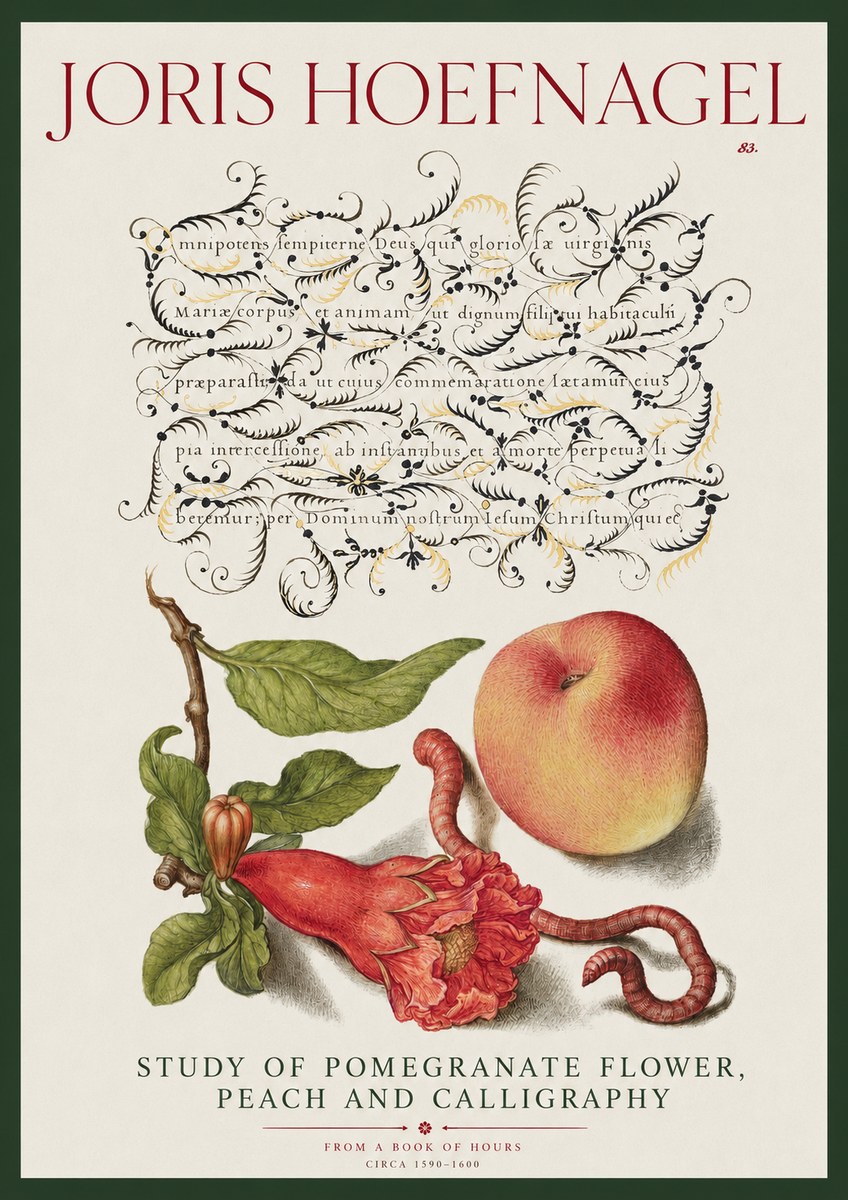 Joris Hoefnagel Study of Pomegranate Flower, Peach and Calligraphy from a Book of Hours No2 - Plakát