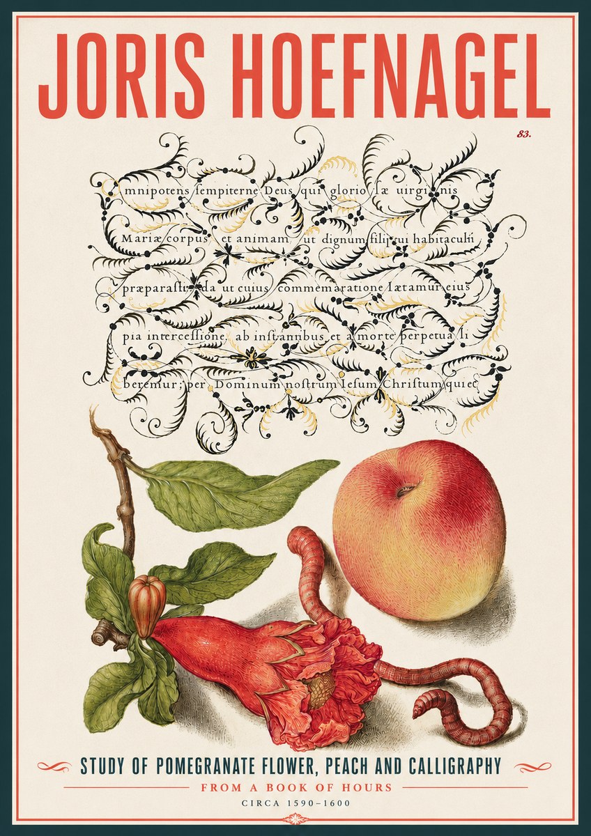 Joris Hoefnagel Study of Pomegranate Flower, Peach and Calligraphy from a Book of Hours No4 - Plakát