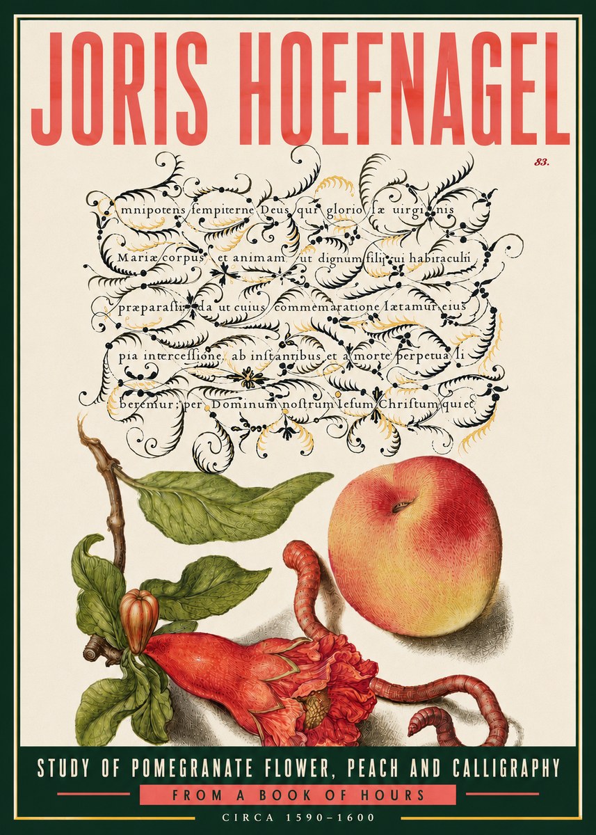 Joris Hoefnagel Study of Pomegranate Flower, Peach and Calligraphy from a Book of Hours No6 - Plakát
