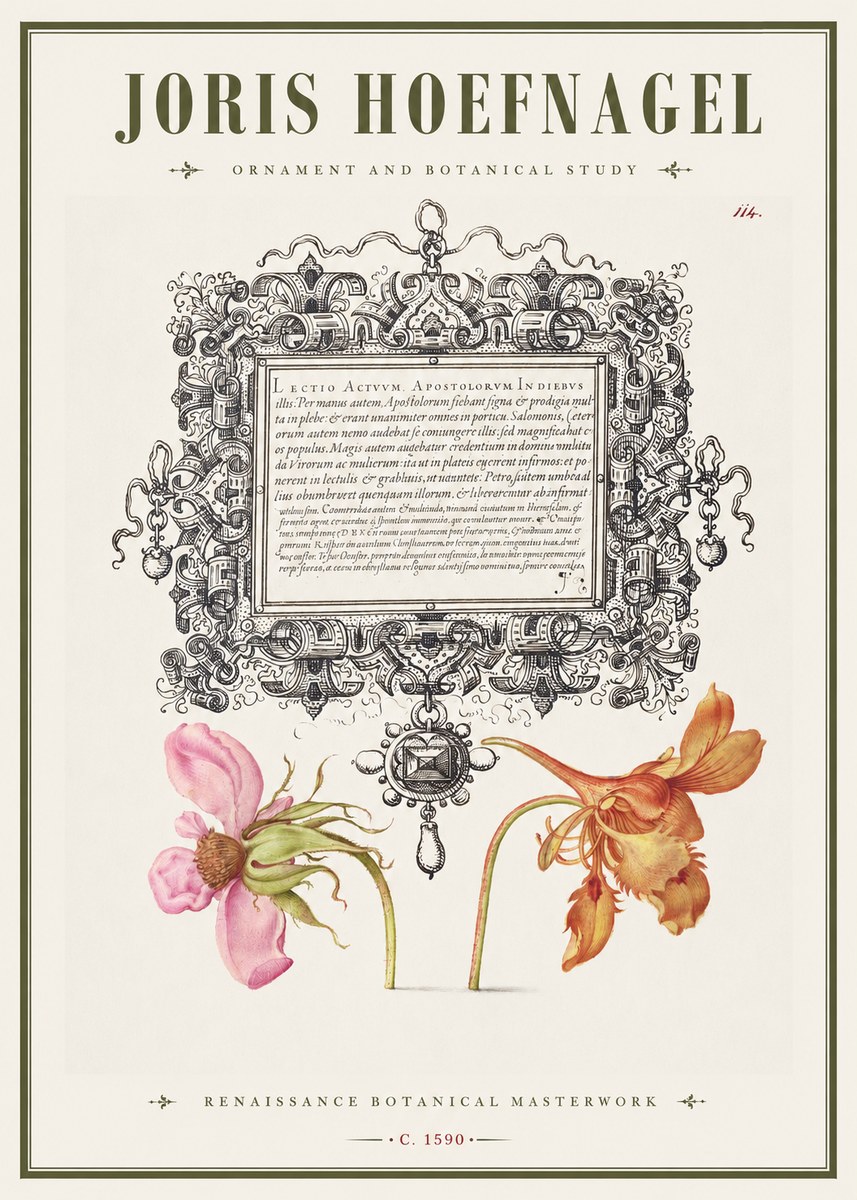 Joris Hoefnagel Ornament and Botanical Study No1 - Plakát