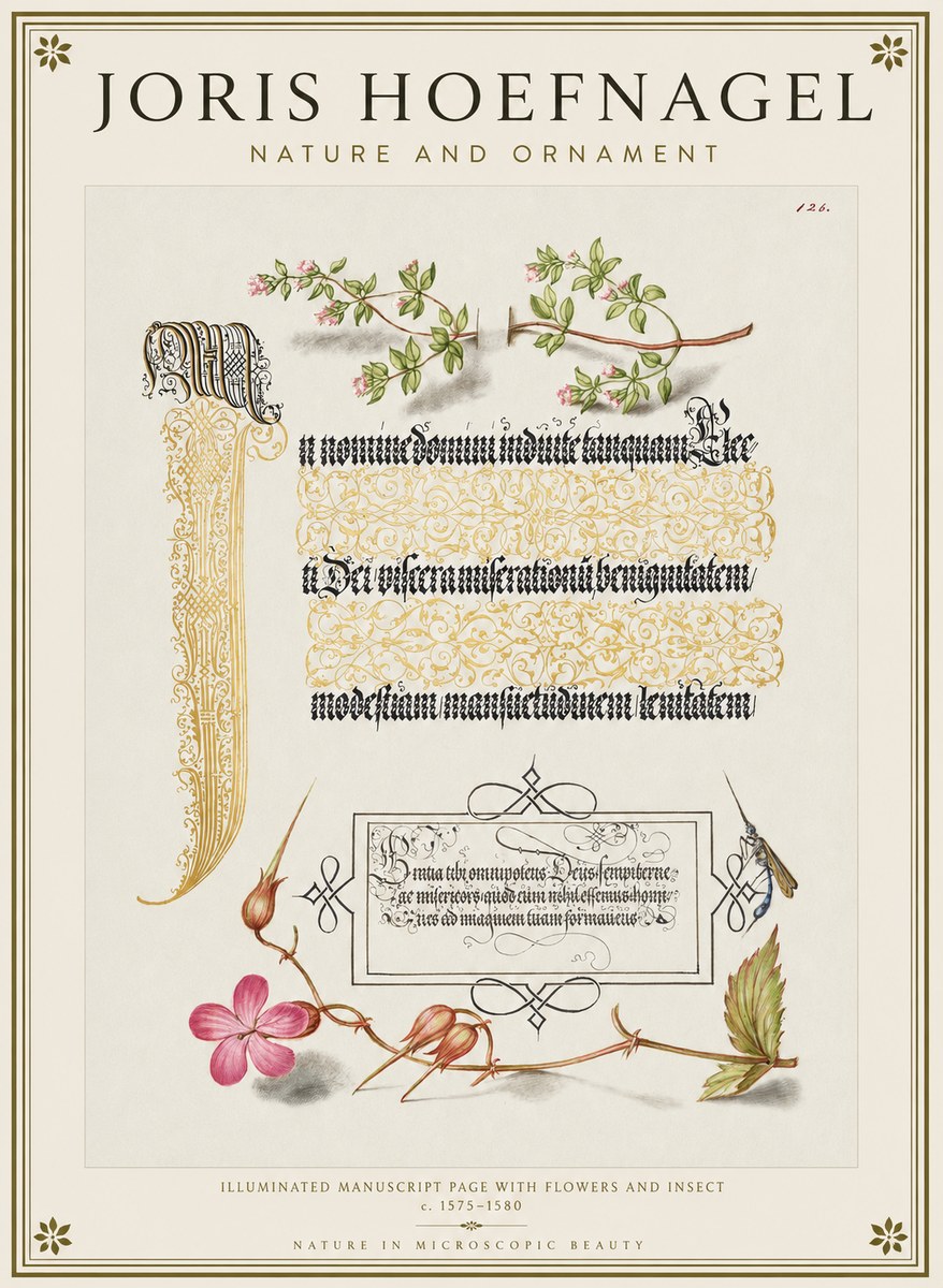 Joris Hoefnagel Illuminated Manuscript Page with Flowers and Insect No1 - Plakát