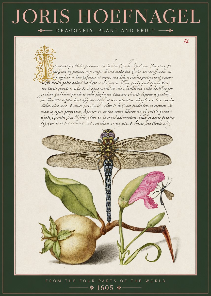 Joris Hoefnagel Dragonfly, Plant and Fruit No3 - Plakát
