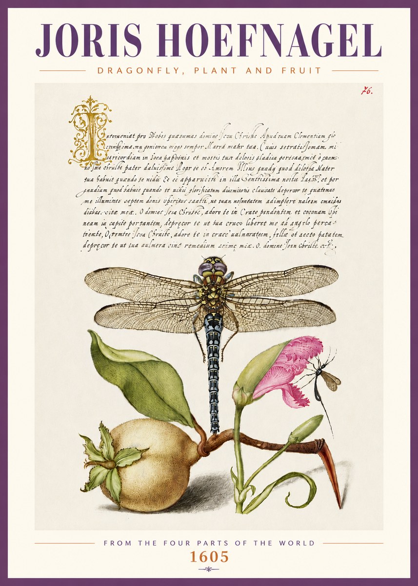 Joris Hoefnagel Dragonfly, Plant and Fruit No4 - Plakát