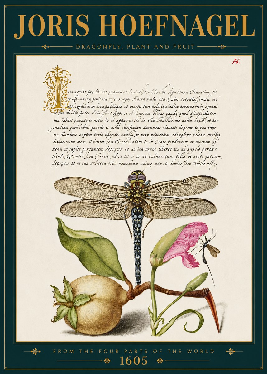 Joris Hoefnagel Dragonfly, Plant and Fruit No5 - Plakát