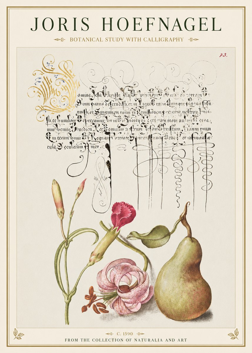 Joris Hoefnagel Botanical Study with Calligraphy II No1 - Plakát