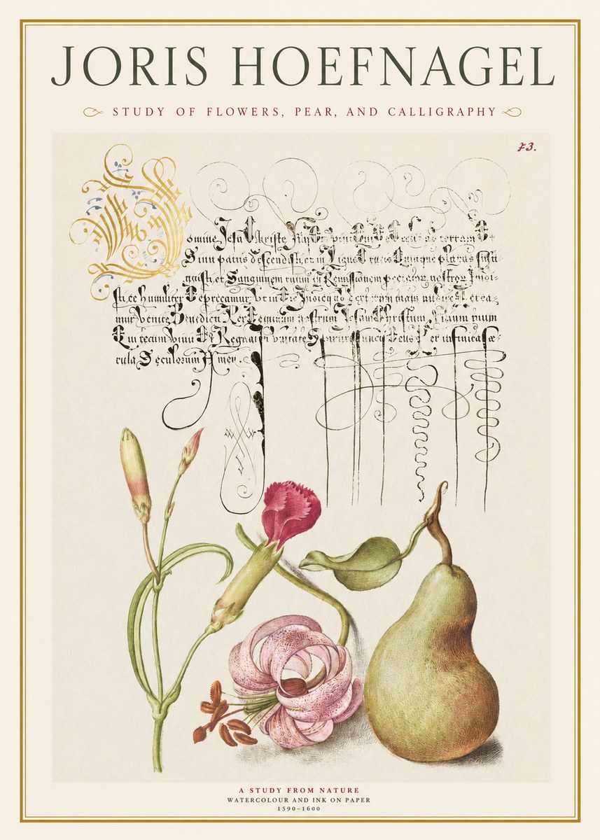 Joris Hoefnagel Botanical Study with Calligraphy II No2 - Plakát