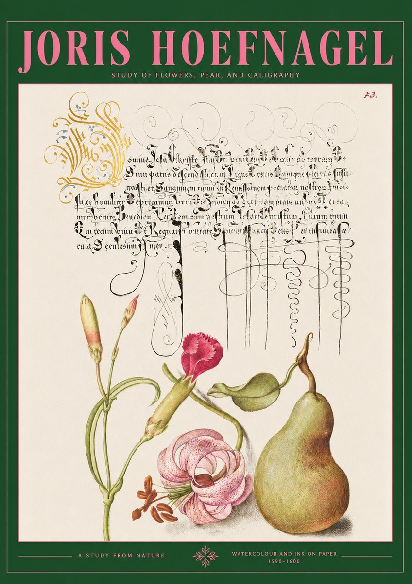 Joris Hoefnagel Botanical Study with Calligraphy II No3 - Plakát