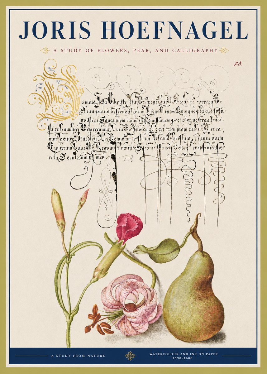 Joris Hoefnagel Botanical Study with Calligraphy II No4 - Plakát