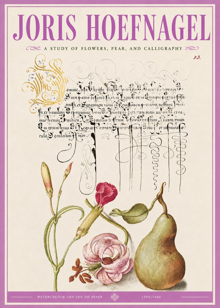 Joris Hoefnagel Botanical Study with Calligraphy II No5 - Plakát