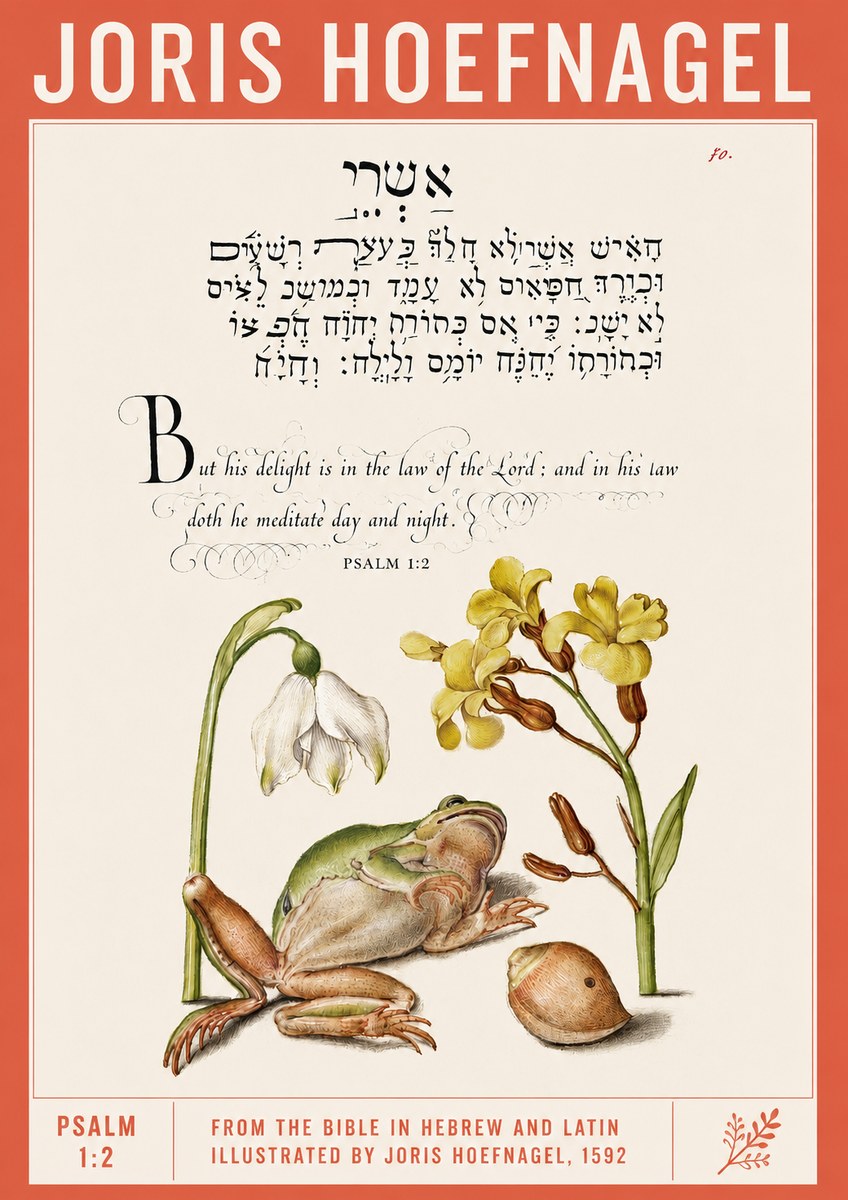 Joris Hoefnagel Psalm 1:2 No2 - Plakát