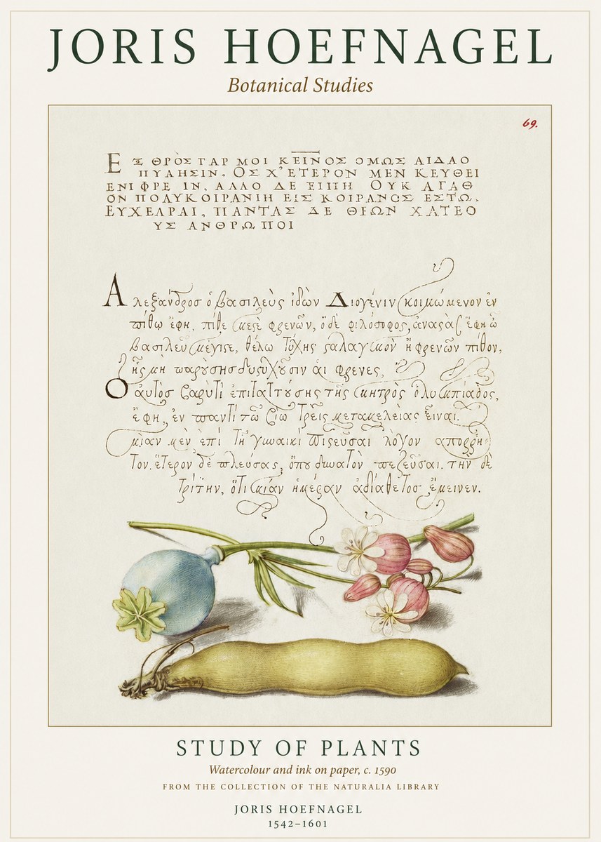 Joris Hoefnagel Study of Plants I No1 - Plakát
