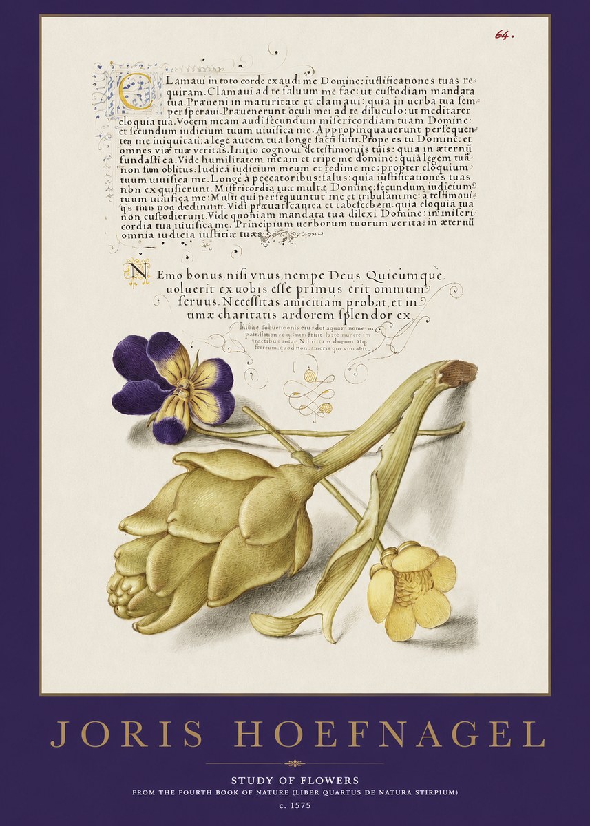 Joris Hoefnagel Botanical Study with Calligraphy III No3 - Plakát