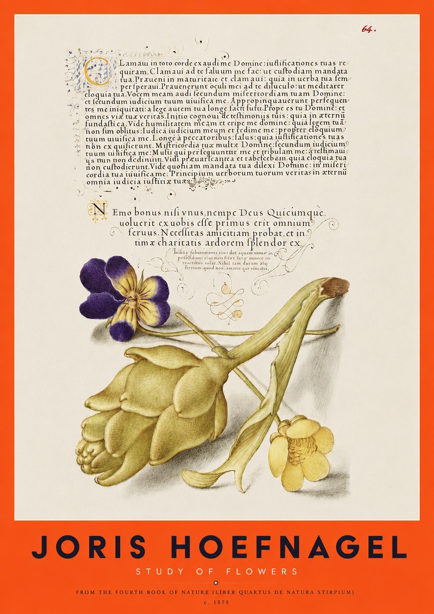 Joris Hoefnagel Botanical Study with Calligraphy III No4 - Plakát