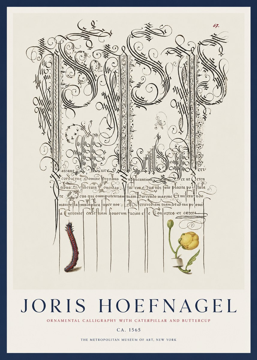 Joris Hoefnagel Ornamental Calligraphy with Caterpillar and Buttercup No1 - Plakát