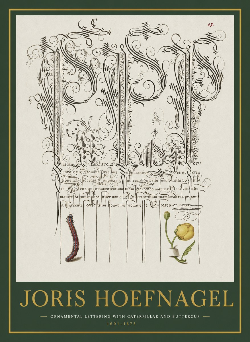 Joris Hoefnagel Ornamental Calligraphy with Caterpillar and Buttercup No2 - Plakát