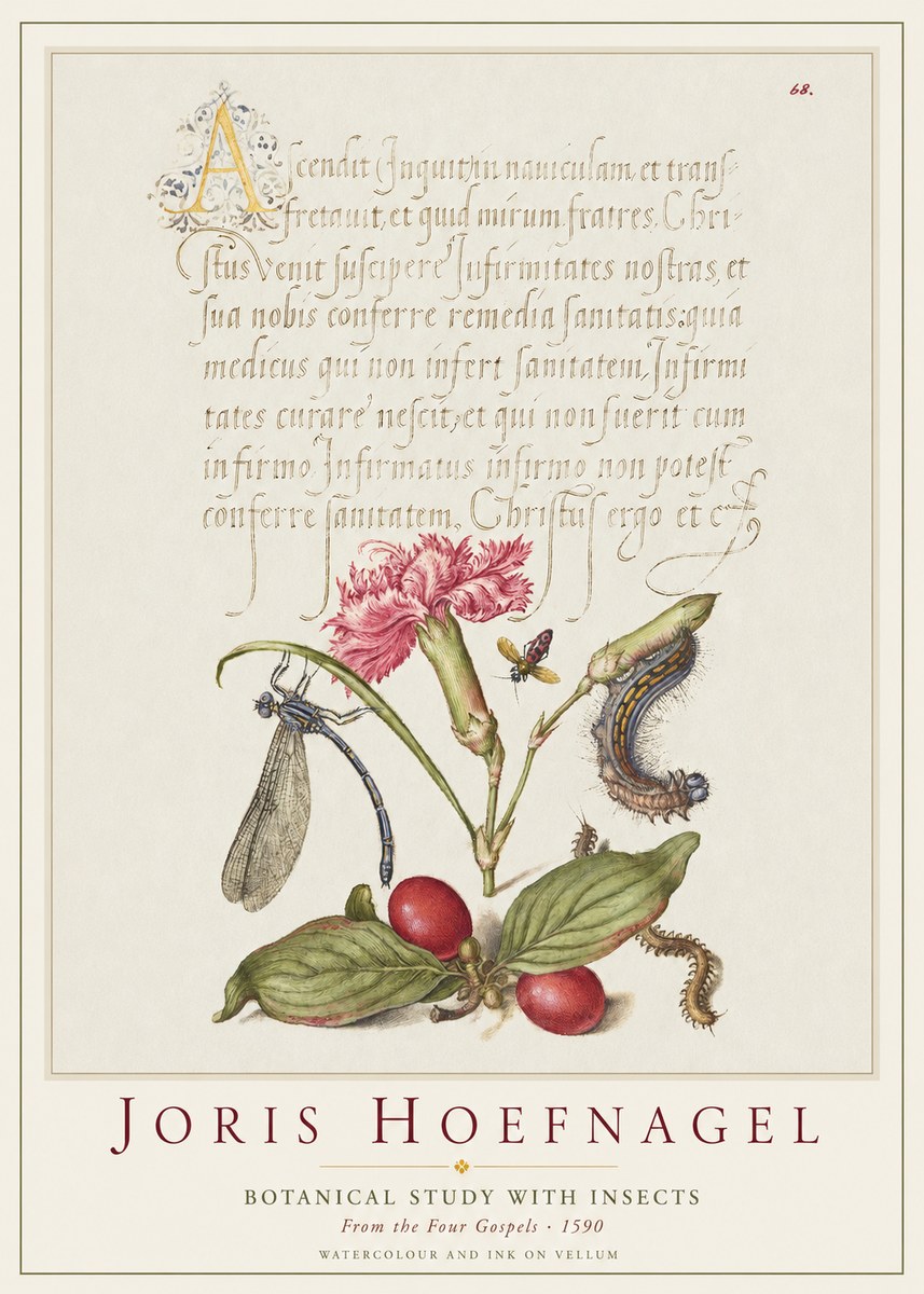 Joris Hoefnagel Botanical Study with Insects No1 - Plakát