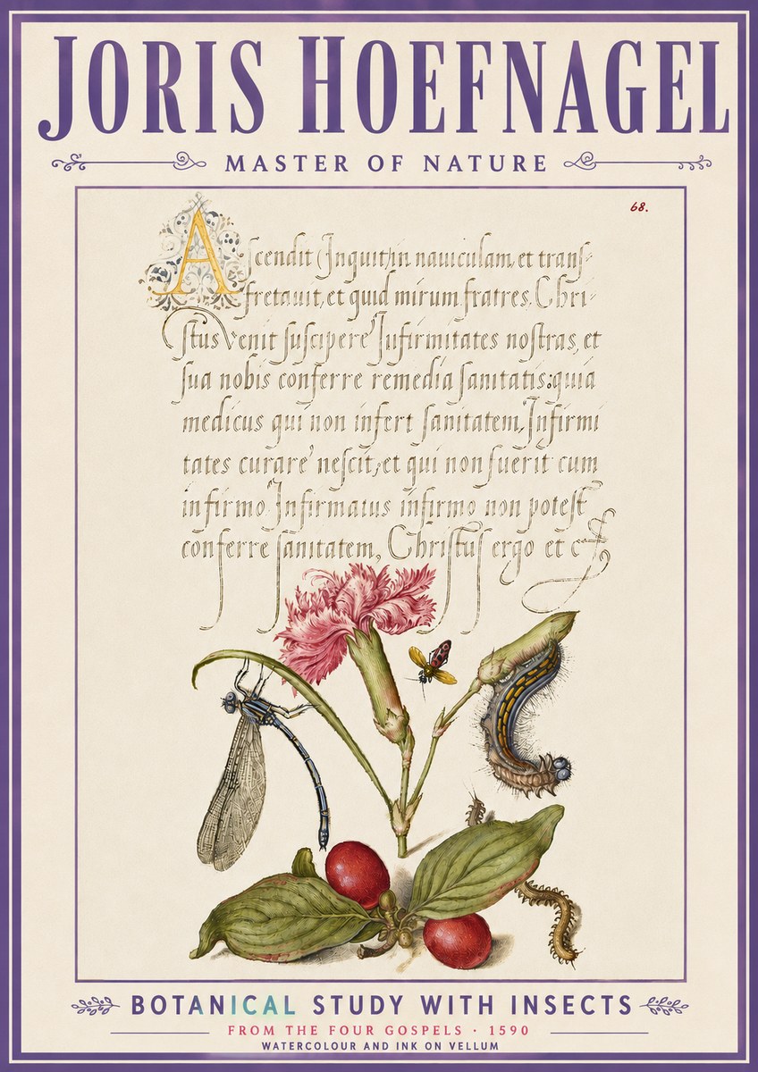 Joris Hoefnagel Botanical Study with Insects No6 - Plakát