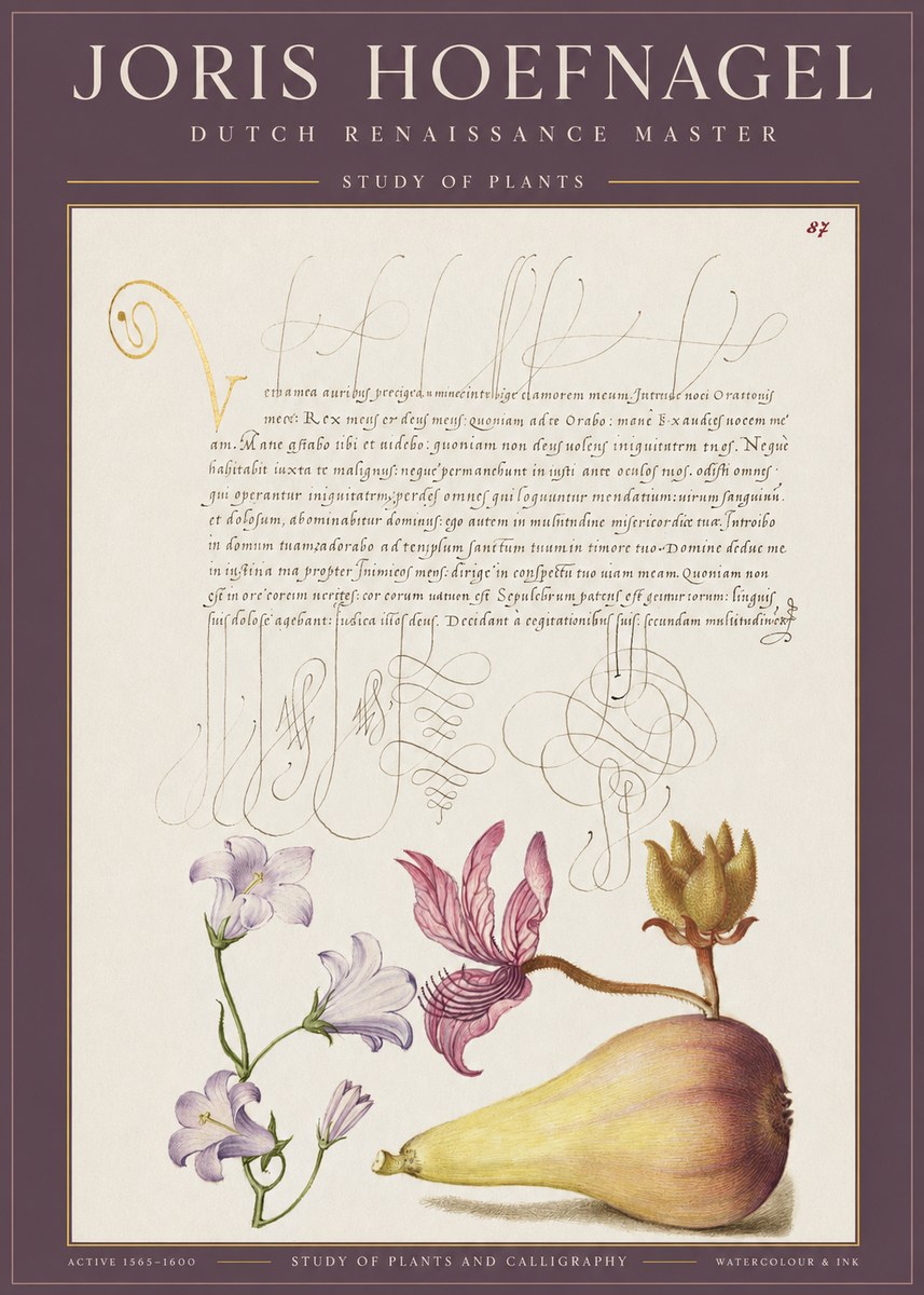 Joris Hoefnagel Study of Plants II No1 - Plakát
