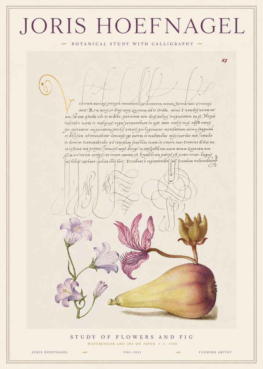 Joris Hoefnagel Study of Plants II No2 - Plakát