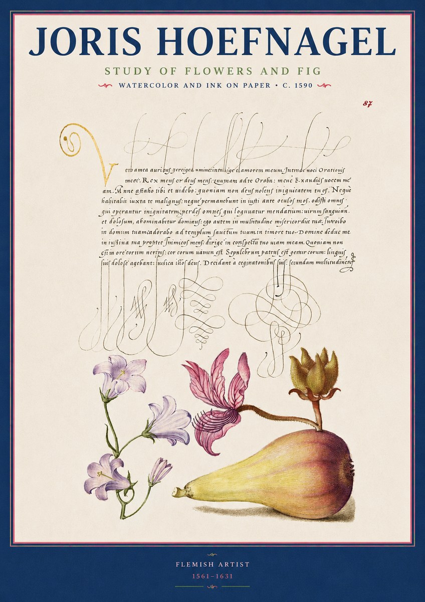 Joris Hoefnagel Study of Plants II No3 - Plakát