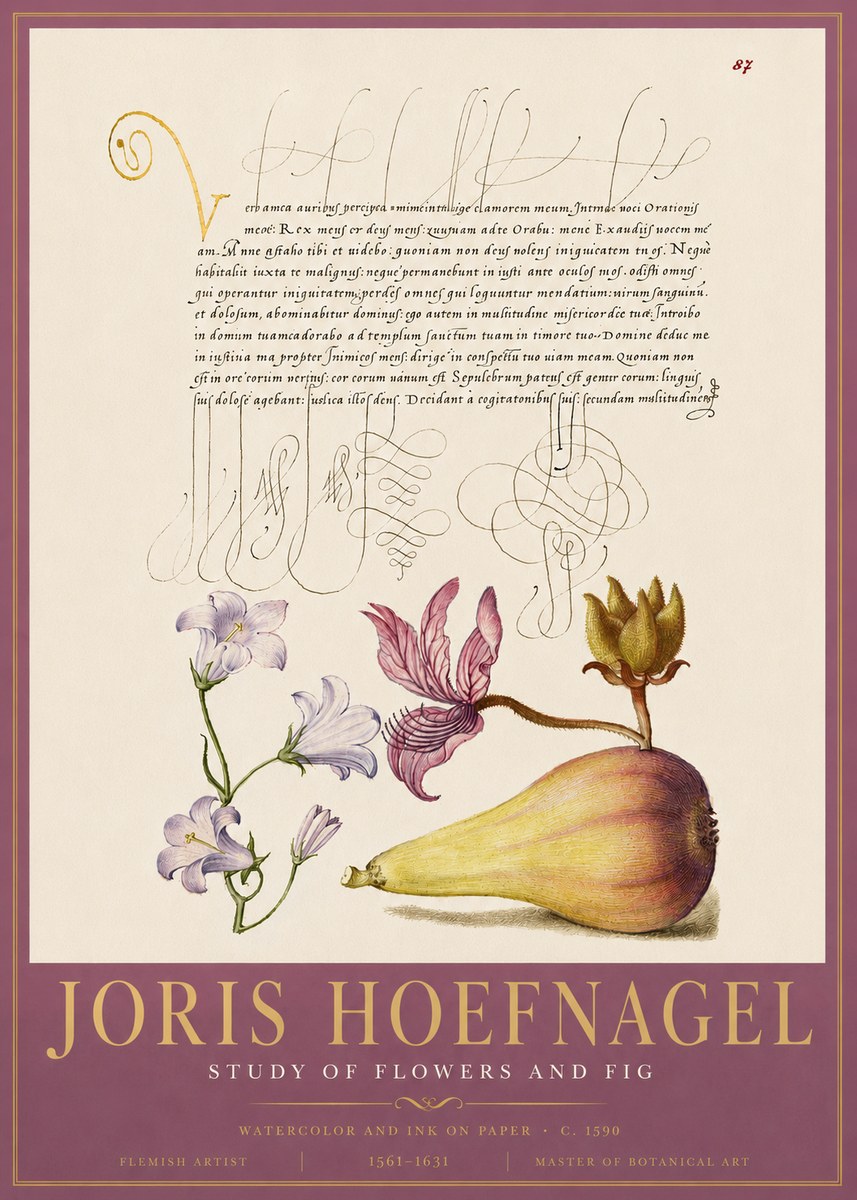 Joris Hoefnagel Study of Plants II No5 - Plakát