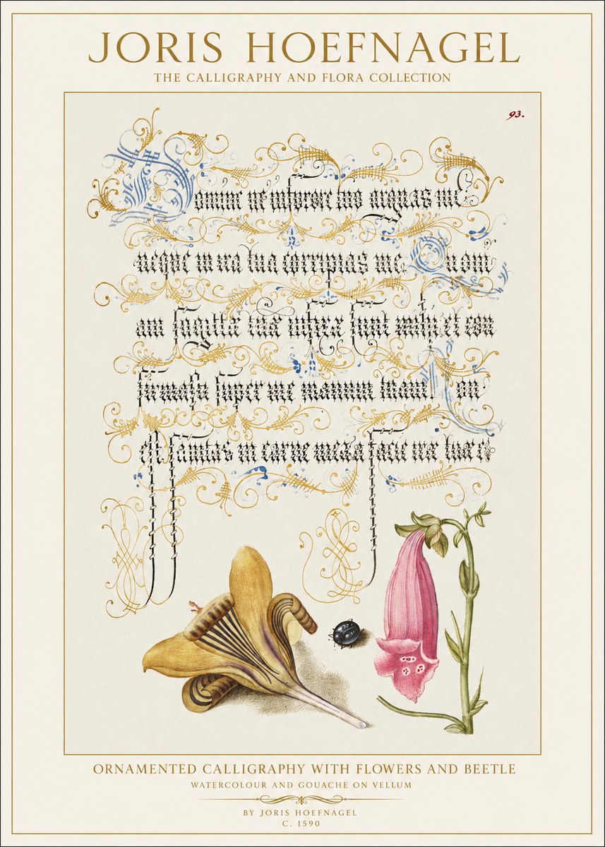 Joris Hoefnagel Ornamented Calligraphy with Flowers and Beetle No1 - Plakát